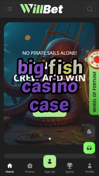 big fish casino case-asdasdzhjkds.com