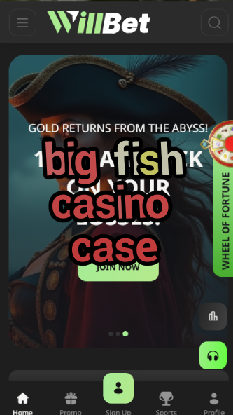 big fish casino case-asdasdzhjkds.com
