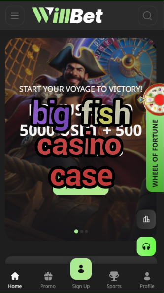 big fish casino case-asdasdzhjkds.com