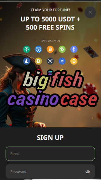 big fish casino case-asdasdzhjkds.com